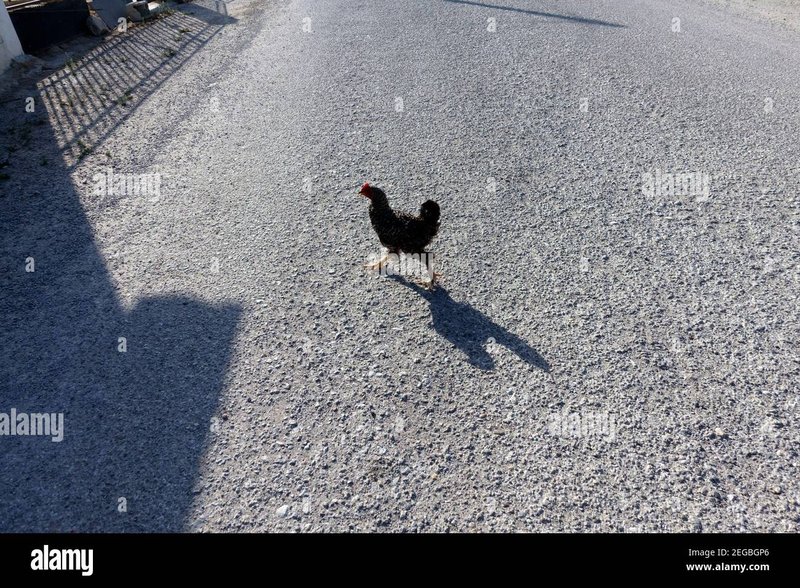 Spain - chicken road oficial